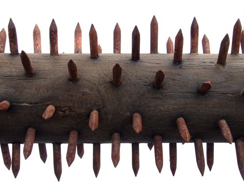 Why Humans No Longer Have Spiky Penises