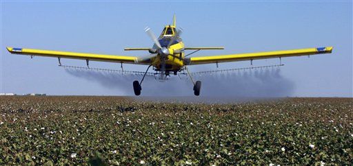 Pesticide Exposure in the Womb Linked to Lower IQs in Children