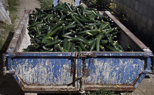 Spain's Cucumbers Not E. Coli Culprit—So It May Sue Germany Over Blame