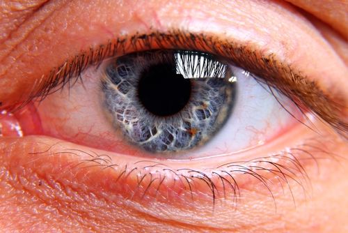 Human Eye May Have Magnetic '6th Sense'