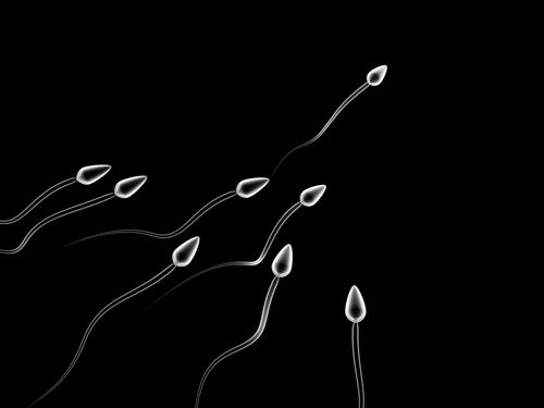 Scientists Turn Embryonic Stem Cells Into Working Sperm Cells