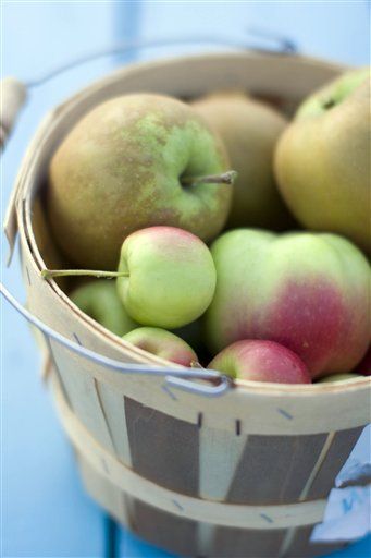 Apples, Pears Reduce Chance of Stroke: Dutch Study