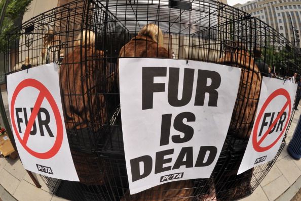 West Hollywood May Ban Fur