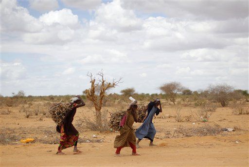 Kenya Can Help Stop 'Mass Rape' of Somali Refugees Fleeing Famine