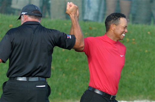 Tiger Remains Perfect in 2008