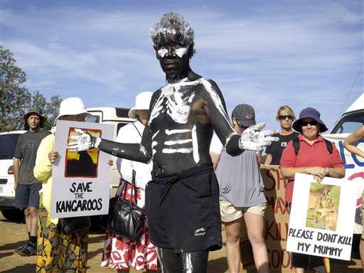 Aussies Face Protests Over Kangaroo Cull