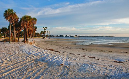 Tourist Finds Human Leg on Florida Beach
