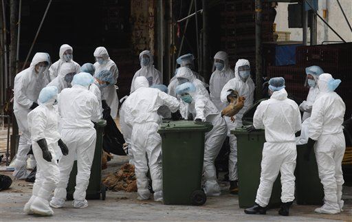 China Sees First Bird Flu Death in More Than a Year