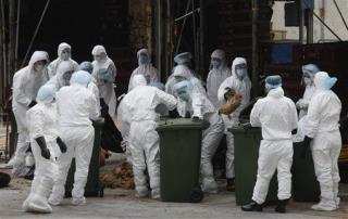 China Sees First Bird Flu Death in More Than a Year