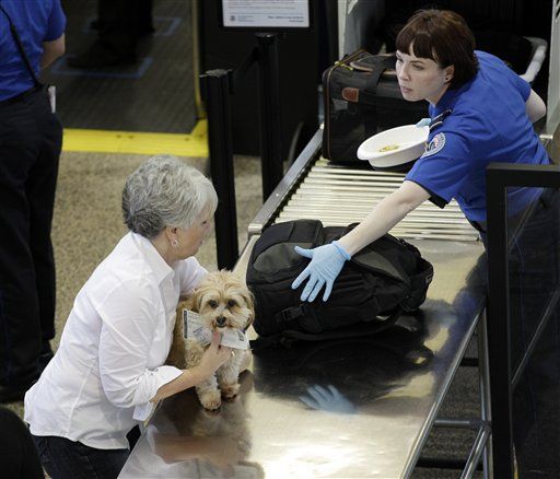 TSA's Best 'Catches' of 2011