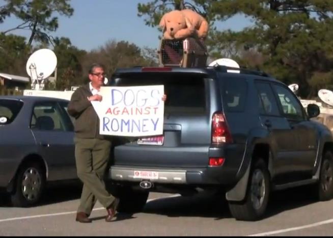 Dogs Against Romney Form 'Super Pack'