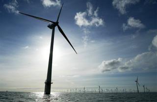 Wind Turbines' Big Threat: Wind
