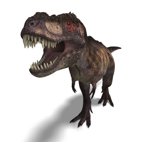 T. Rex: History's Most Powerful Biter