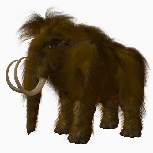 Early Humans Found Unique Way to Get Woolly Mammoth