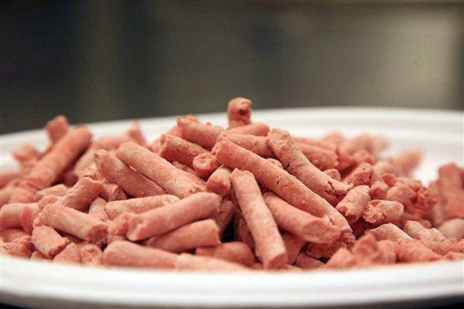 Ammonia an Ingredient in More Than Pink Slime