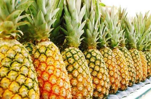 NY Test Asks Kids About Baffling Talking Pineapple