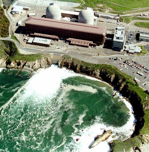 Jellyfish-Like Creatures Shut Down Nuclear Plant
