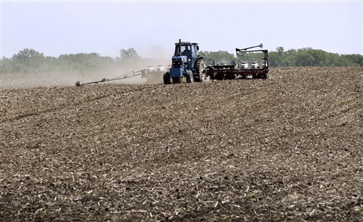 Record Corn Harvest Could Sink Food Prices