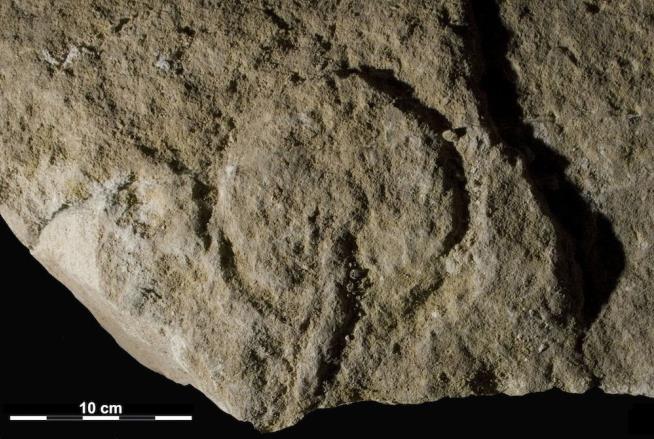 Europe's Oldest Cave Art: Female Genitalia