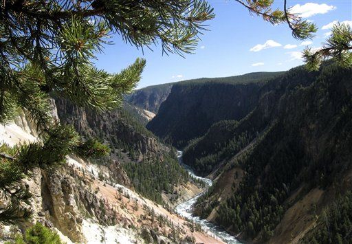 Teen Falls to Death at Yellowstone on First Day of Work