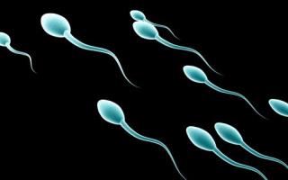 does sperm production hurt