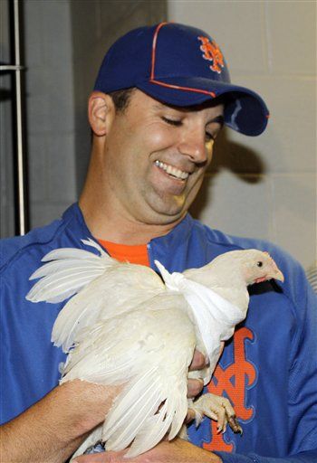 Mets Send 'Seinfeld' the Chicken Down ...to Sanctuary
