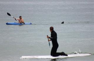 Cape Cod Kayaker Dodges Great White