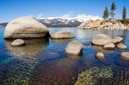 Plan to Clean Up Lake Tahoe Is Bad News for Crayfish
