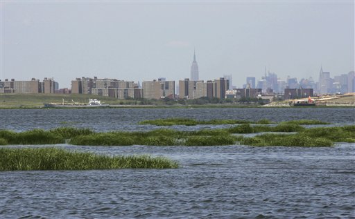 EPA's New Rules Allow Wetlands Trade-Offs