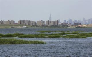 EPA's New Rules Allow Wetlands Trade-Offs