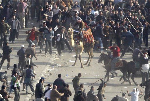 Egypt Court Acquits 'Camel Battle' Plotters