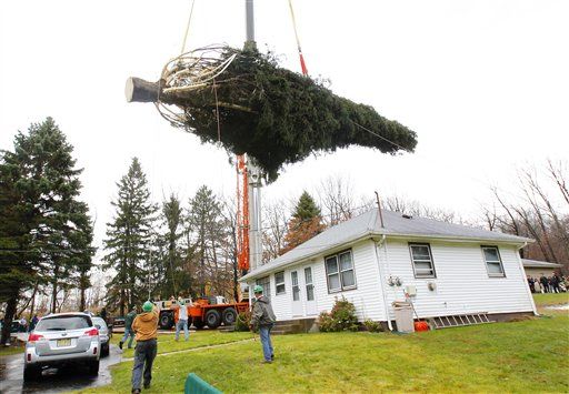 NYC's Iconic Christmas Tree Survived Sandy