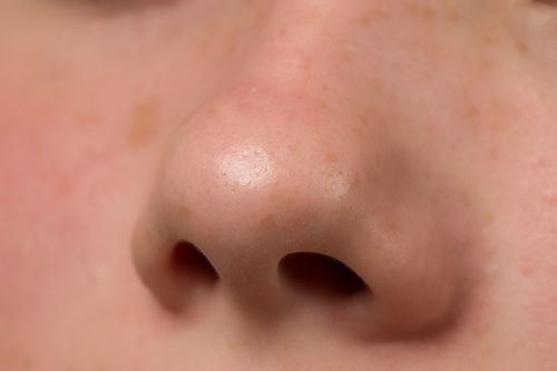Scientists Find 'White Noise' for Your Nose