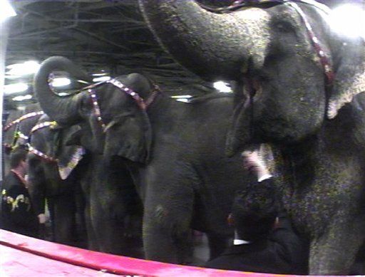 Animal Rights Group Pays Circus $9.3M