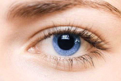 DNA Yields Clue to Eye Color of the Long Dead
