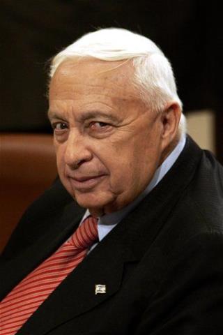 Activity Detected in Ariel Sharon's Brain