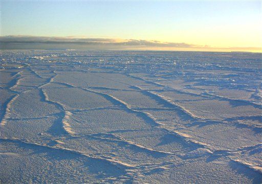 Living Bacteria Found Beneath Antarctic Ice