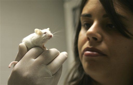 Lab Rats Acquire 'Sixth Sense'