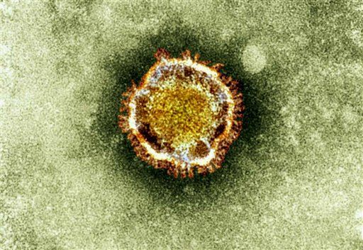 Of Dozen People With New SARS-Like Virus, 6 Dead