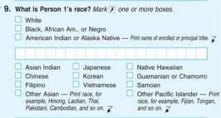 'Negro' Wiped From US Census