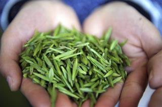 Green Tea, Coffee Reduce Stroke Risk