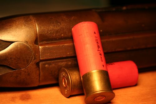 Tucson Group Will Give Free Shotguns to Residents