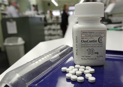 Painkiller Deaths Rise Again in US