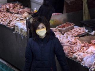 As 4 Fall Ill, China Scrambles to Track Mystery Bird Flu