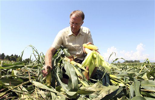 As GMO Corn Weakens, Pesticides Are Back