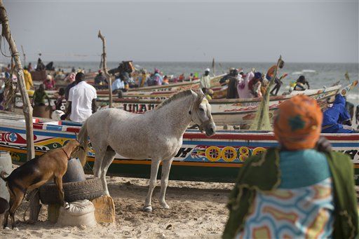 Will Climate Change Destroy Senegal's 'Venice'?