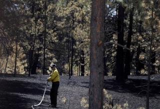 Colorado Wildfire Now a 'Crime Scene'