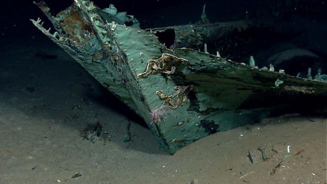 Texas Shipwreck Yields 'CSI Adventure'