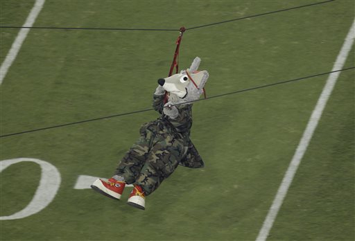 NFL Mascot Seriously Hurt in Zip Line Accident