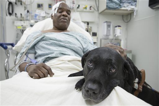 Dog 'Saved My Life' in Subway Fall: Blind Man